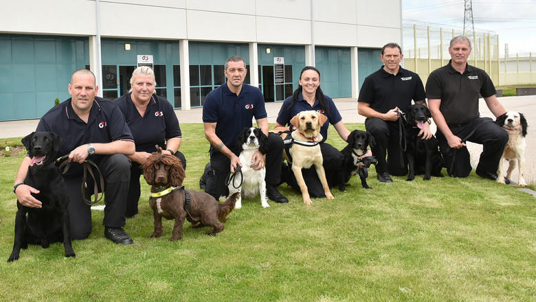 Sniffer dogs
